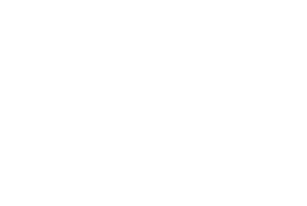 Blue Tote Rental Logo